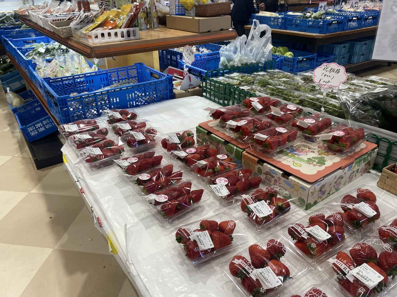 大崎市,あら伊達な道の駅,つるし雛