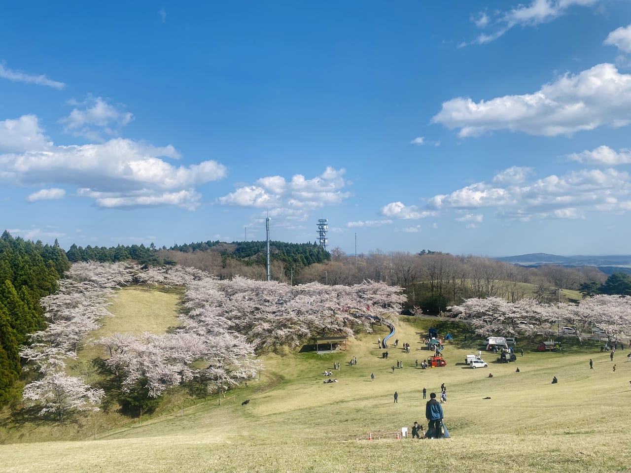 田尻、加御坊山、桜
